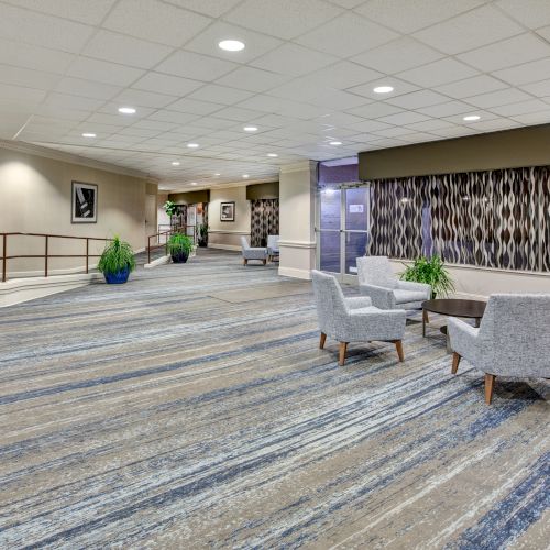 A modern lobby with carpeted floors, seating area, potted plants, patterned wall, and overhead lighting completes the stylish decor.