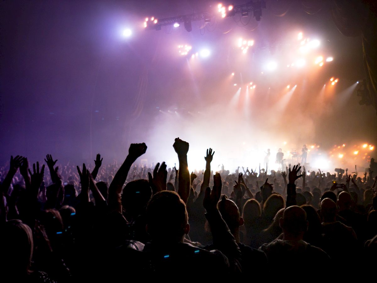 A lively concert scene with a cheering crowd, raised hands, and bright stage lights illuminating performers in the background.
